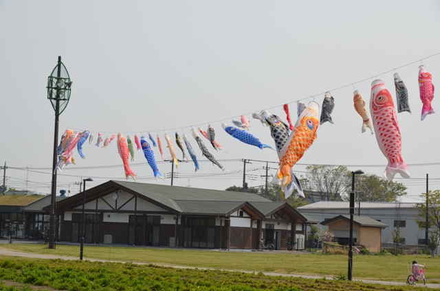 元気いっぱい、鯉のぼりが空を泳ぎます！