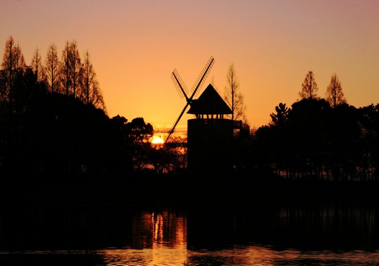 夕暮れの総合公園