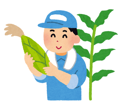 とうもろこし