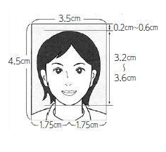 申請に必要な写真の見本のイラスト