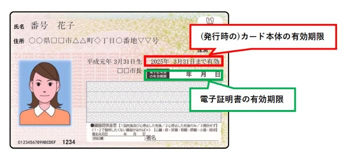 マイナンバーカードの見本画像