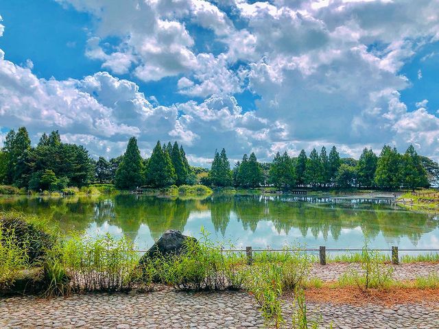 緑の木々と青空が広がる池の風景
