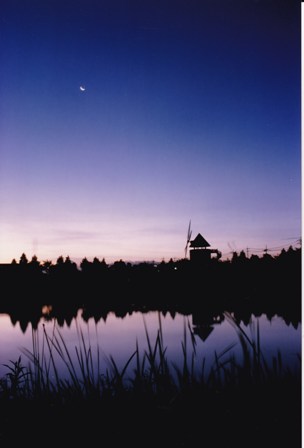 松伏総合公園の写真1