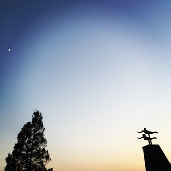 松伏総合公園の写真2