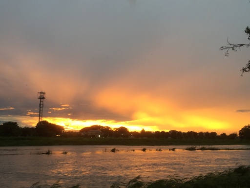 夕焼けの美しい黄昏時です