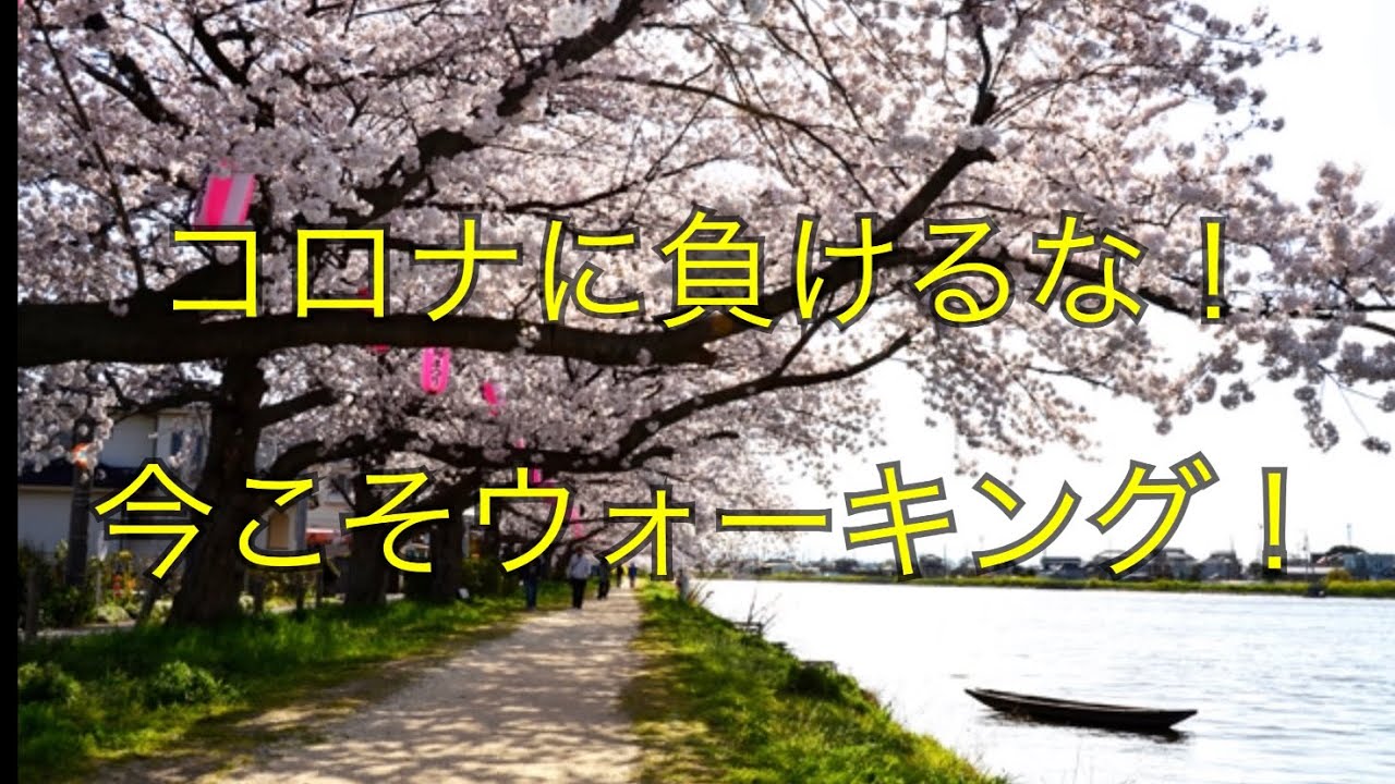 コロナに負けるな！今こそウォーキング！