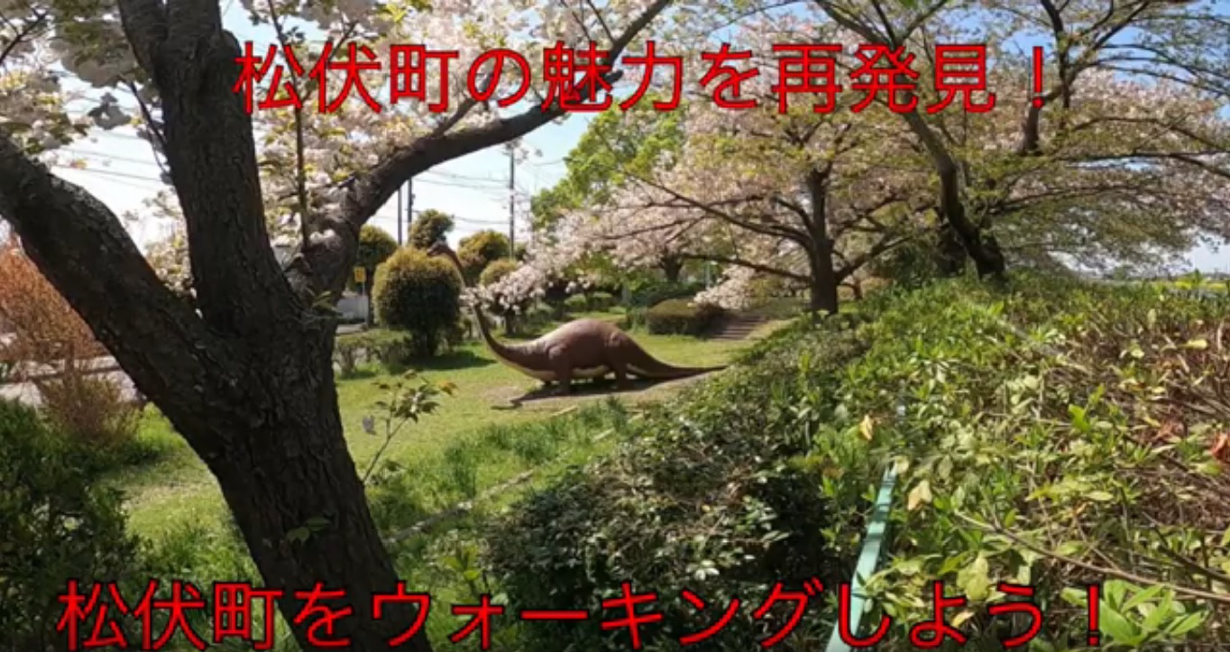 桜並木をウォーキングしよう！