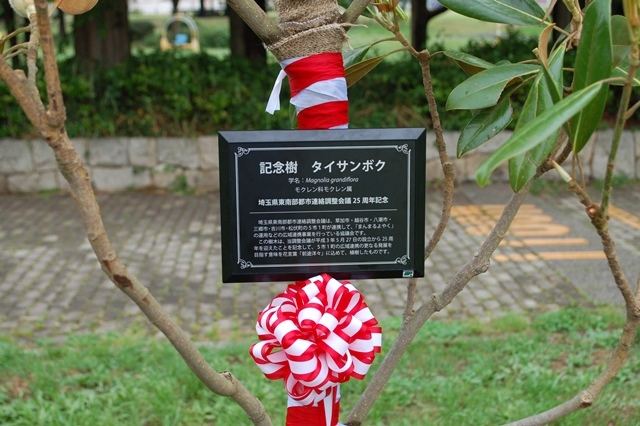 植樹された「タイサンボク」の写真