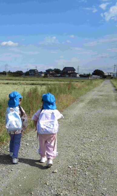 田んぼの中の道を歩く園児の写真