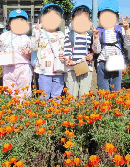 綺麗に咲いた花の前での園児の集合写真
