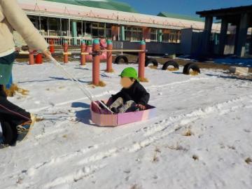 雪だ！