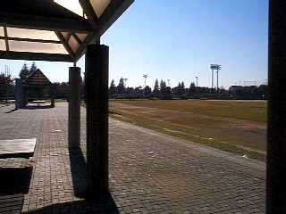 松伏記念公園の写真