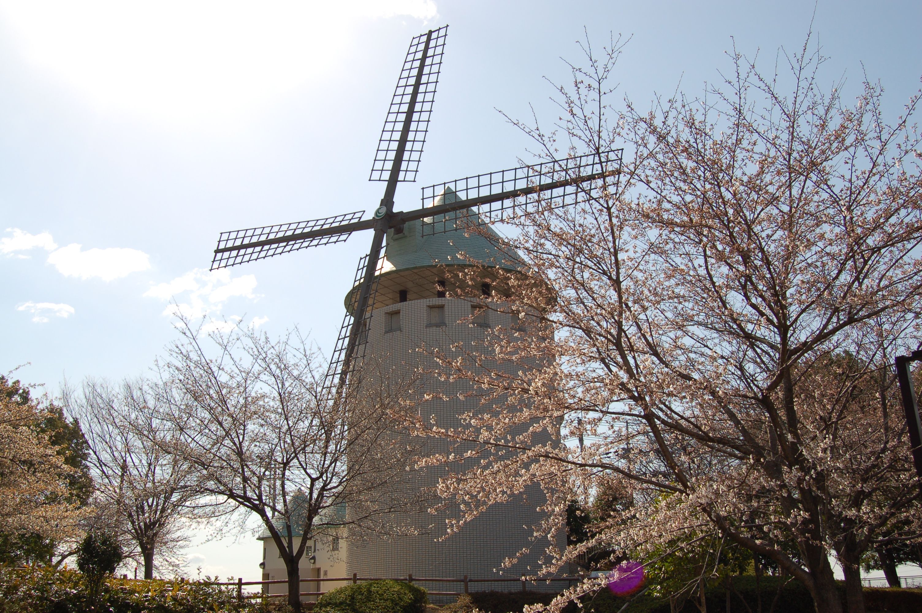 松伏総合公園の写真