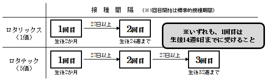 ロタウイルスワクチン接種間隔図