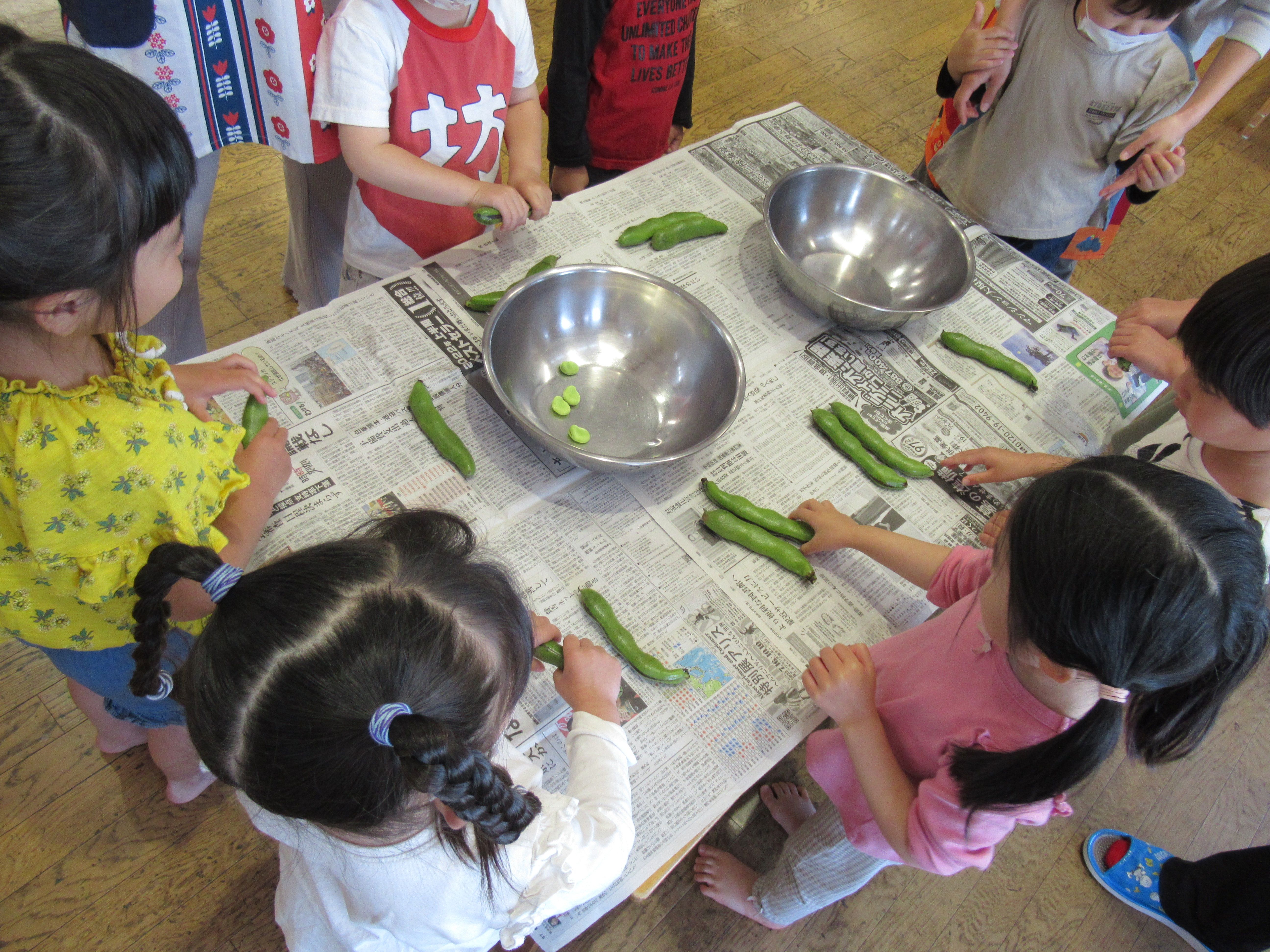 こどもたちがテーブルの上でそら豆を扱っている様子。