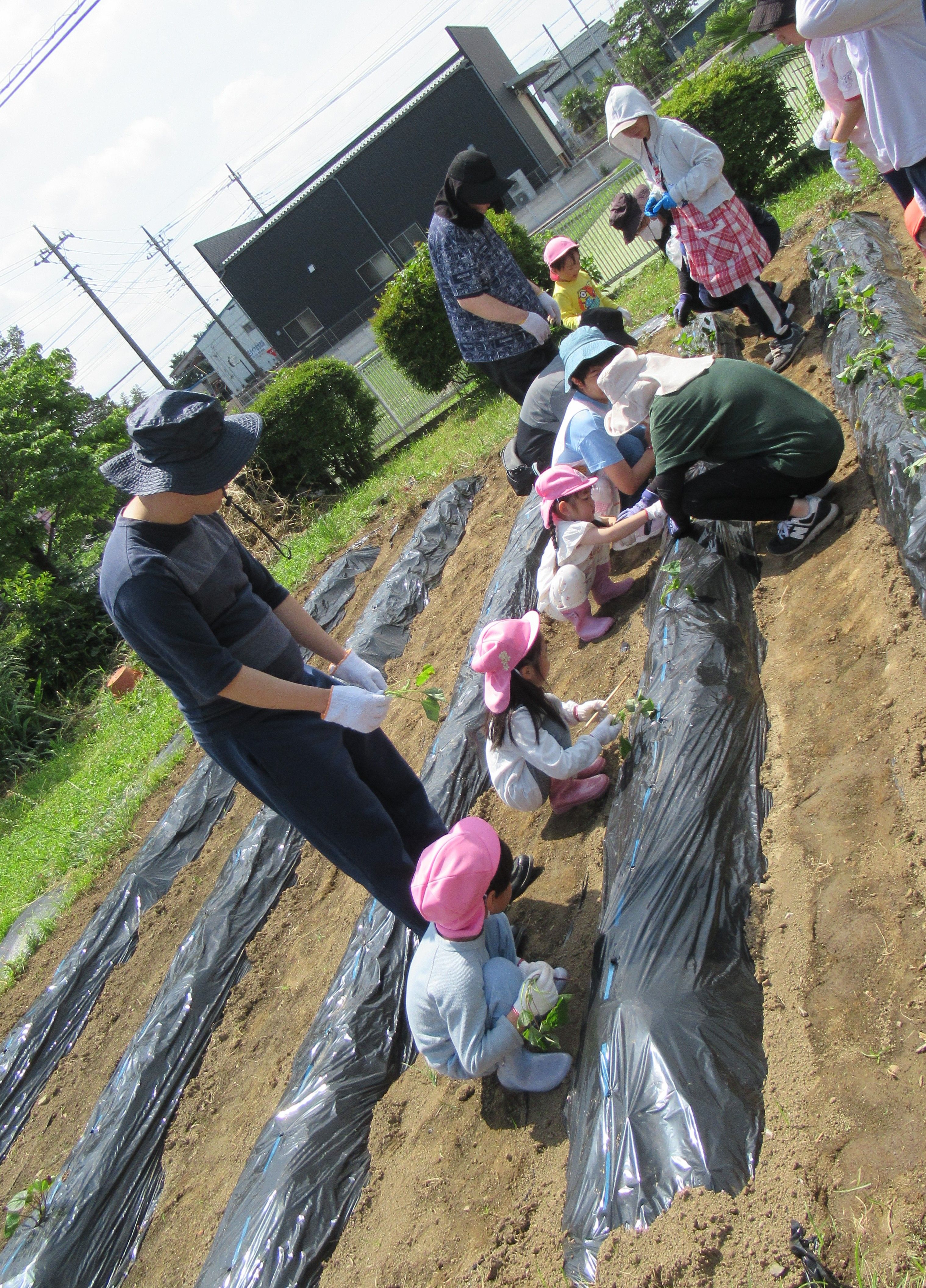 こどもたちが畑で作業をしている様子が映っている画像