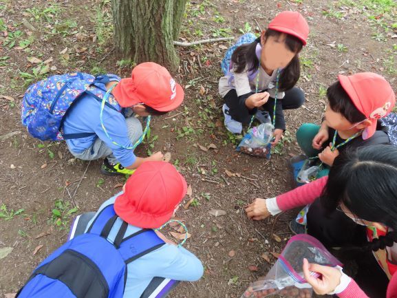 こどもたちが木の下で何かを調べたり遊んだりしている様子