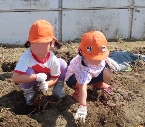 二人のこどもがオレンジ色の帽子をかぶり、土を掘っている様子。