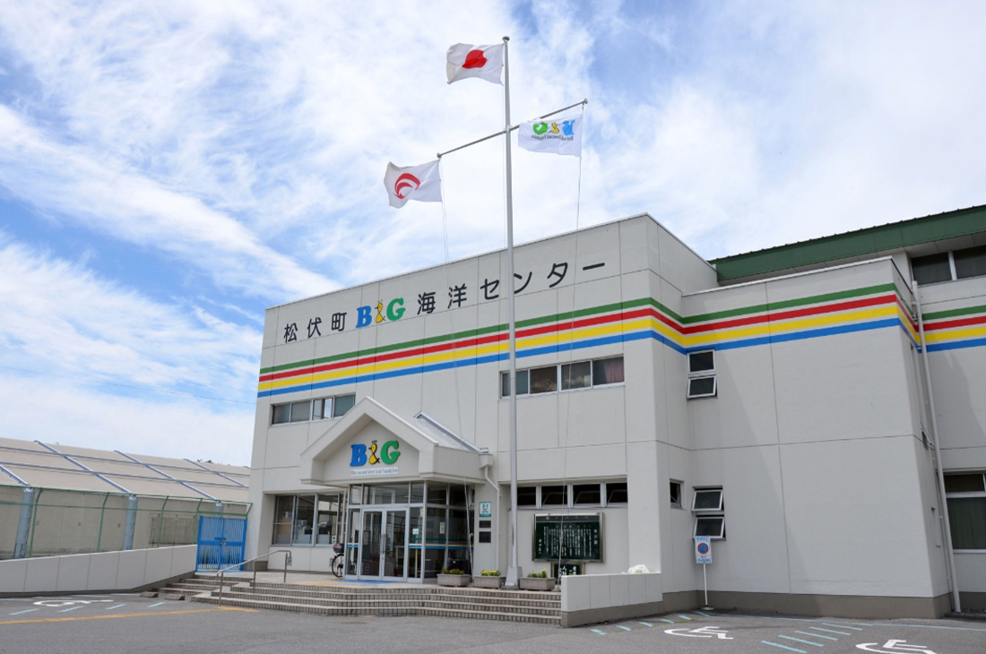 B&G海洋センターの外観