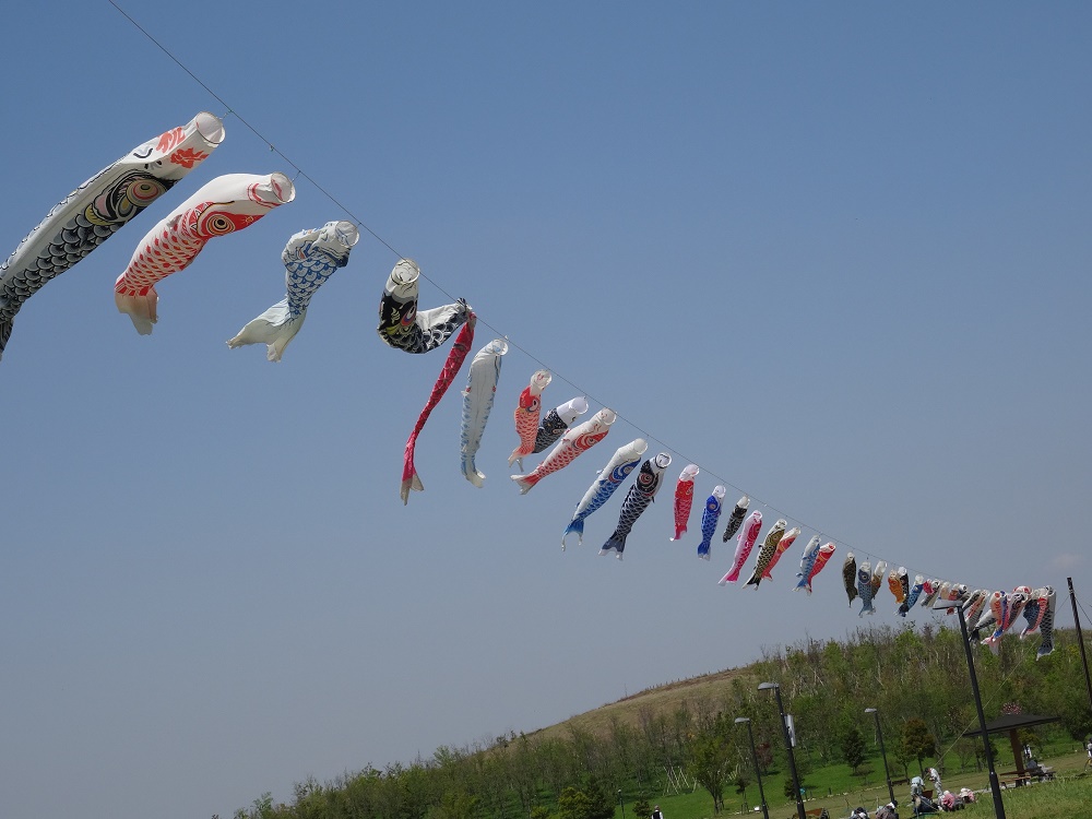 5月のこいのぼりの写真1