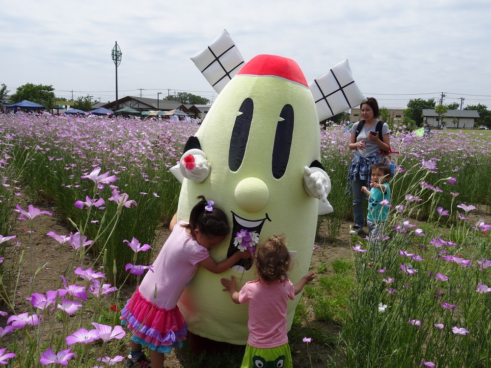 5月の春の花まつりの写真1