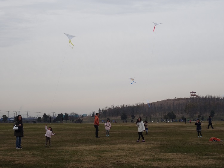 1月の凧あげの様子