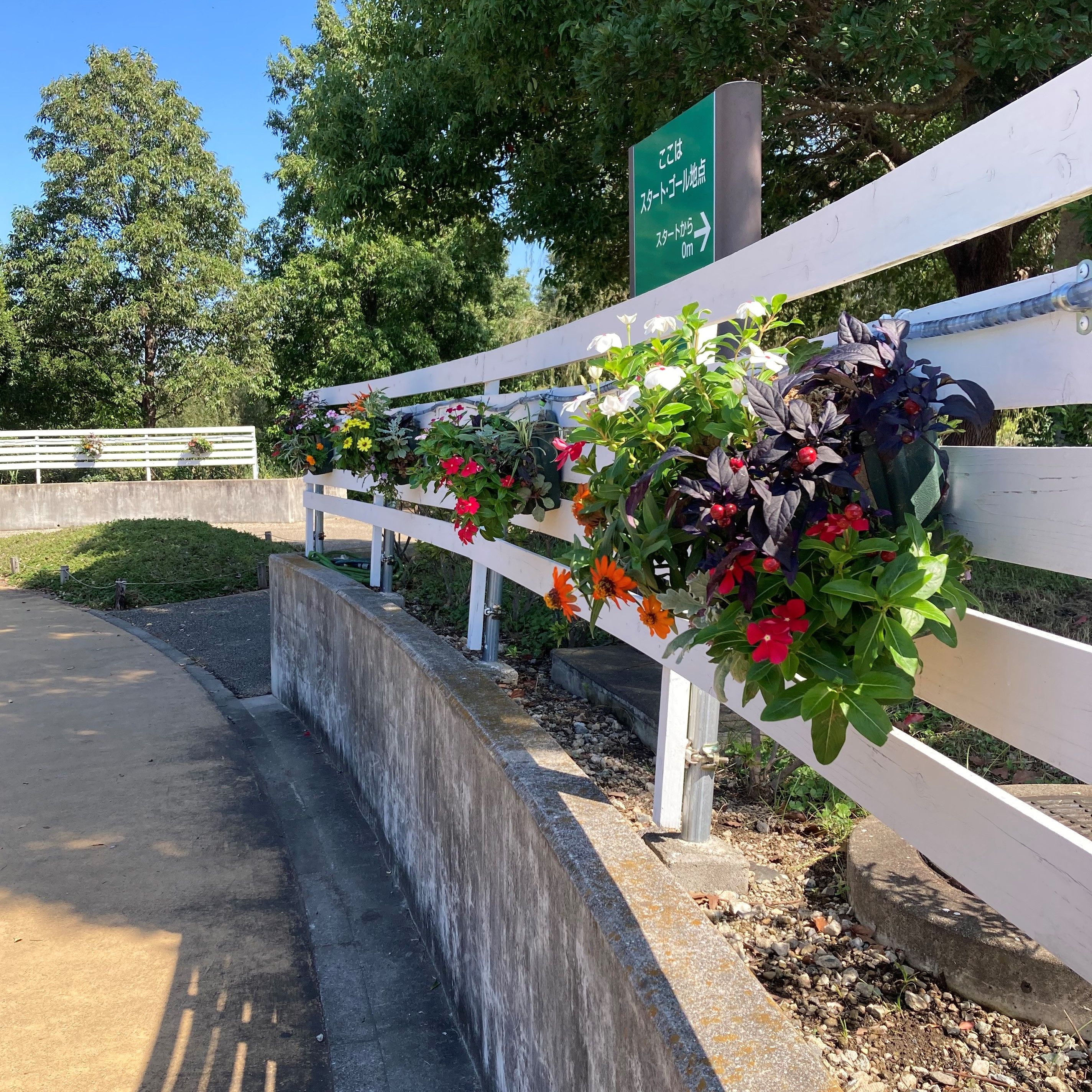 9月のハンギングバスケットの写真