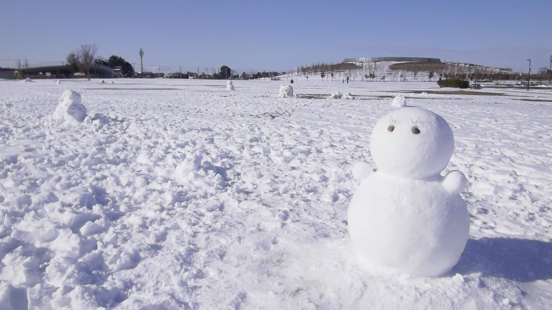 雪だるまの写真