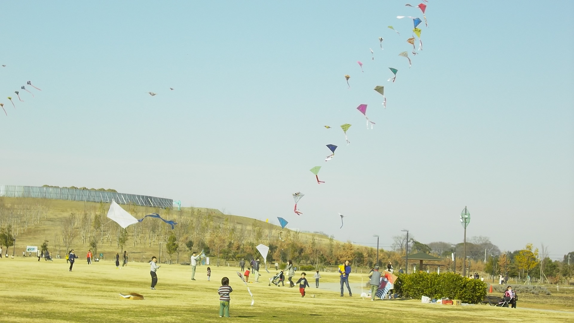 凧あげまつりの写真