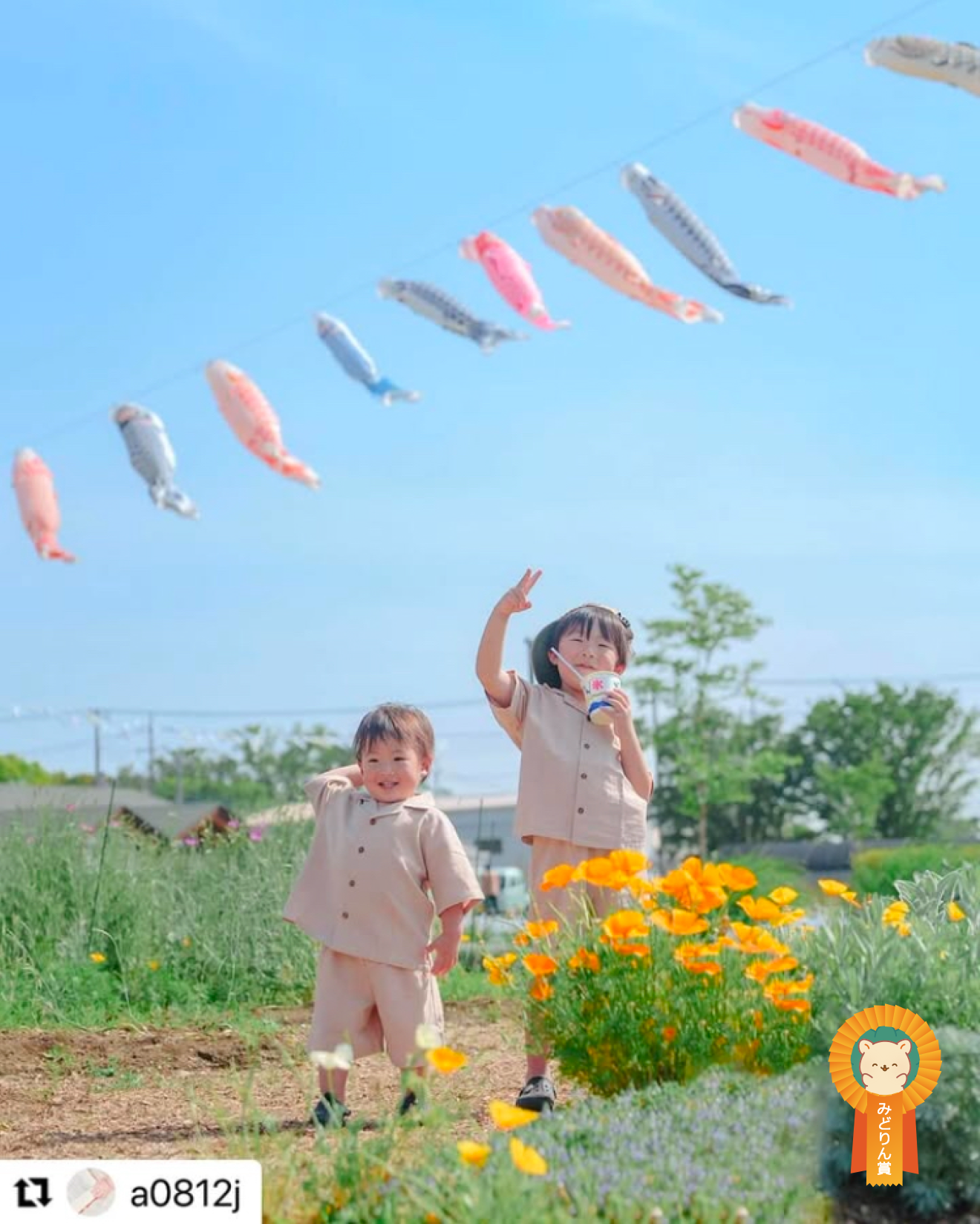 みどりん賞受賞作品の写真2