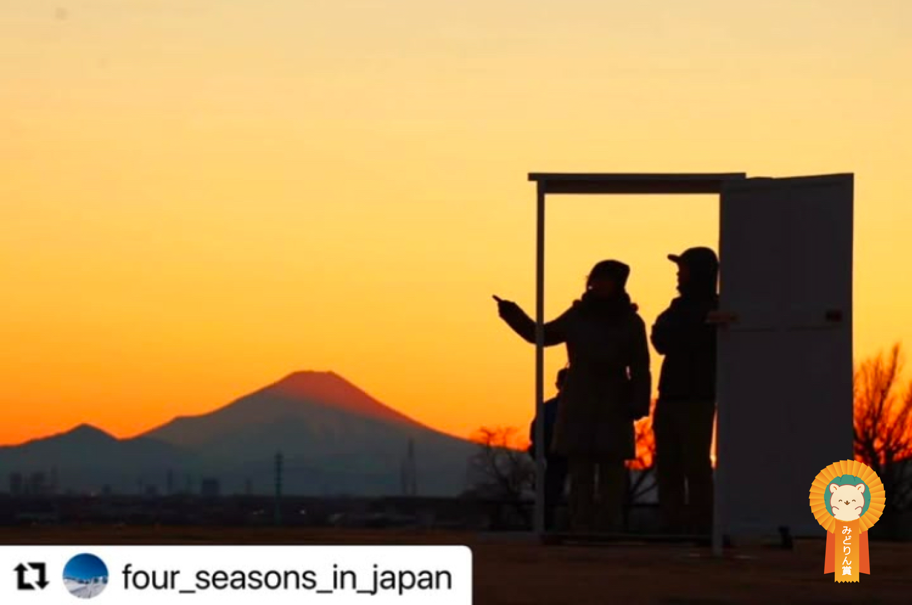 みどりん賞受賞作品の写真3