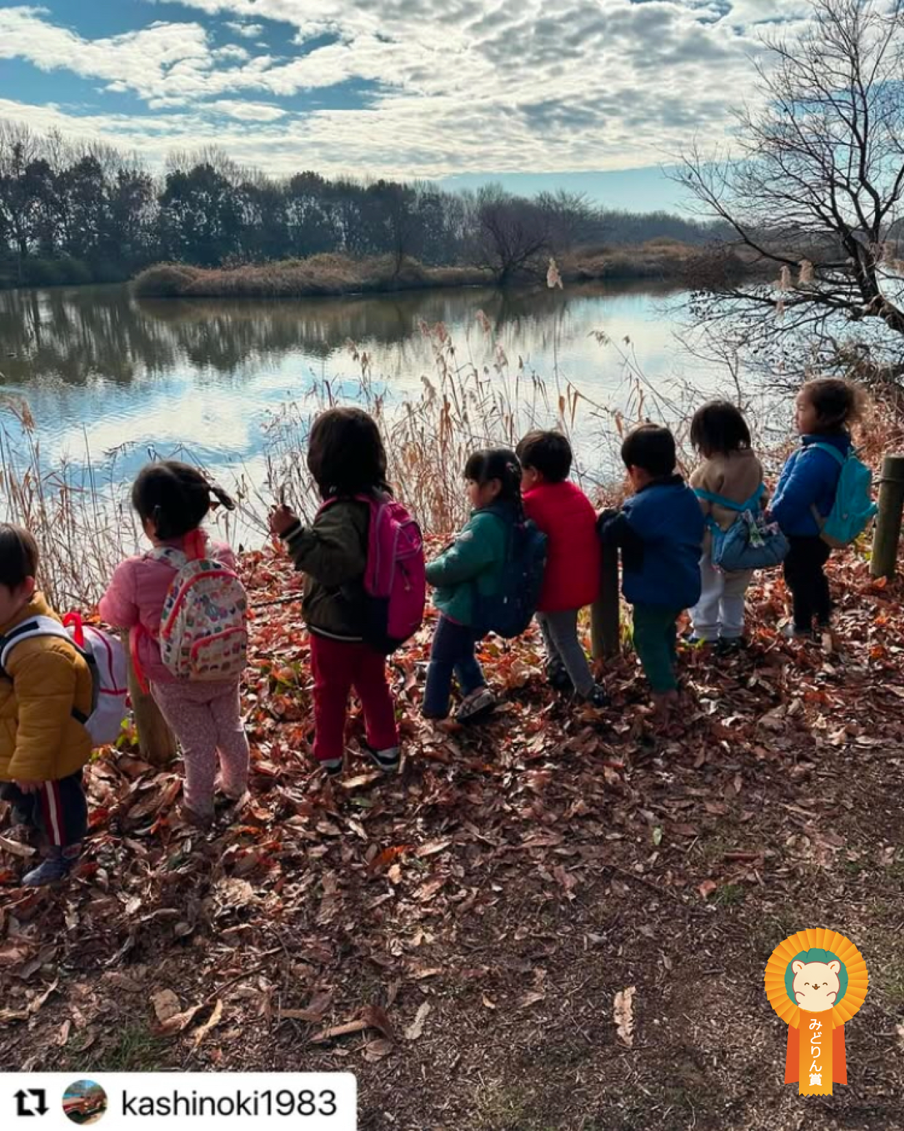 みどりん賞受賞作品の写真1