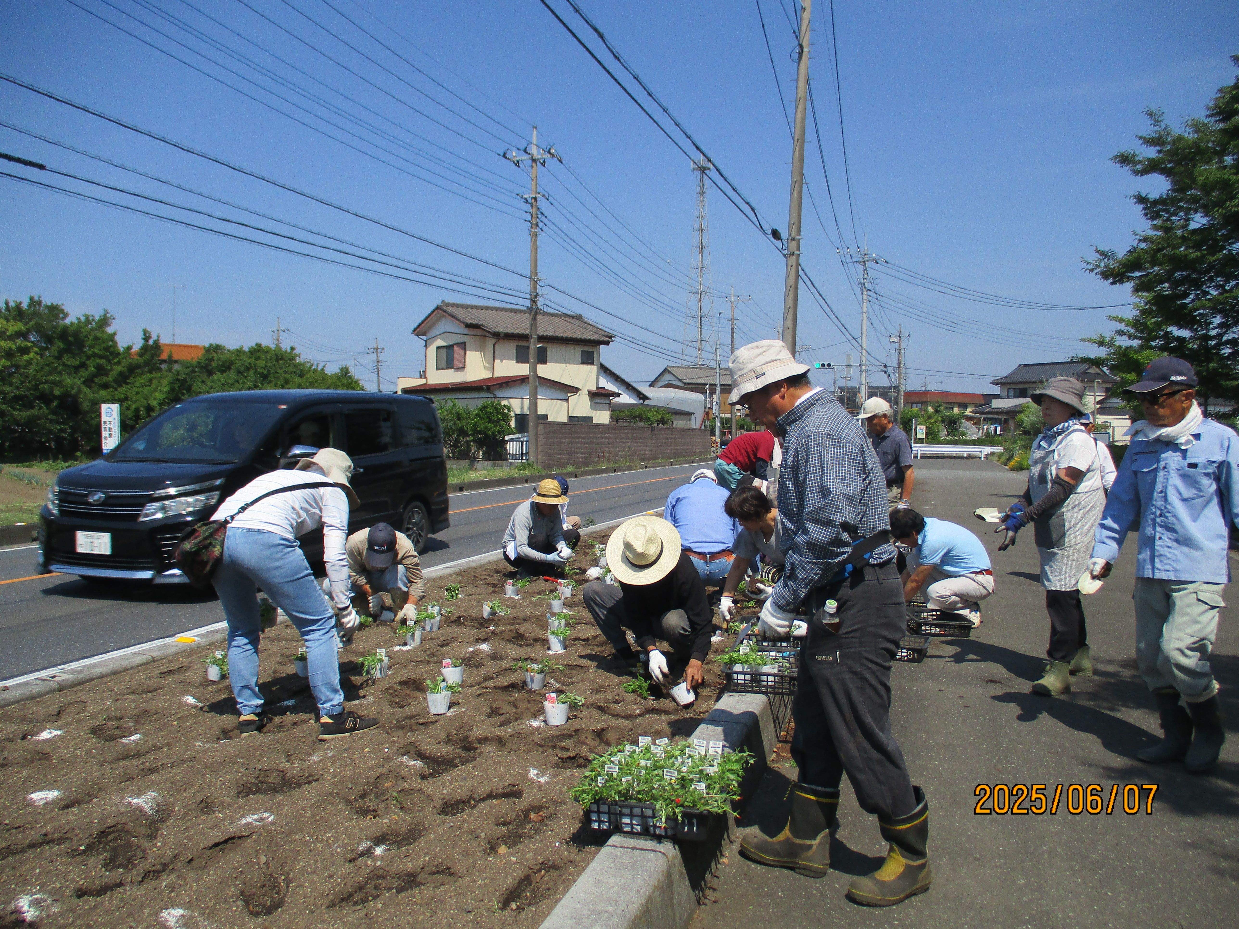 大川戸地区県営まつぶし緑の丘公園利用促進委員会のみなさんが植えている様子2