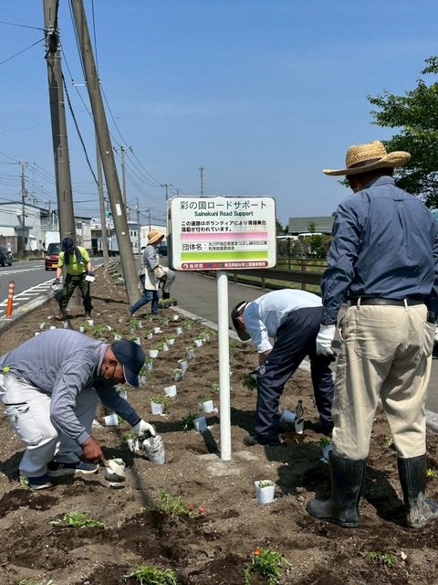 大川戸地区県営まつぶし緑の丘公園利用促進委員会のみなさんが植えている様子1