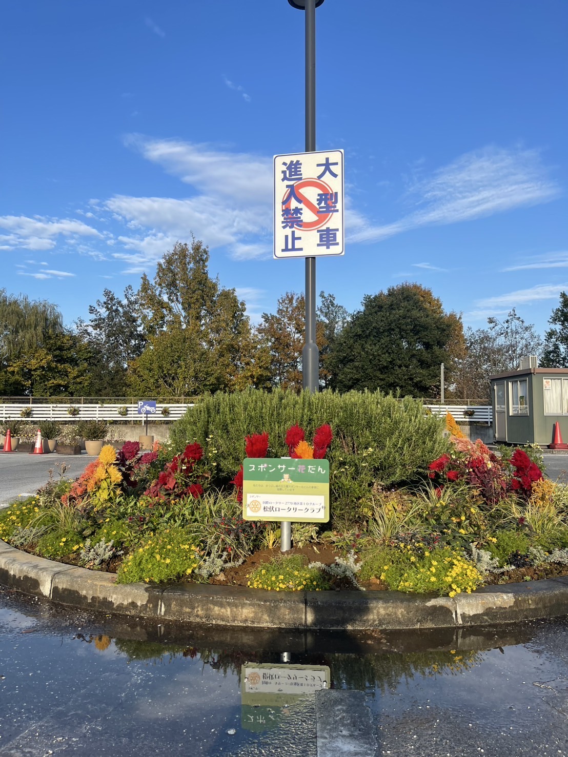 南駐車場入り口正面、バスロータリーの写真