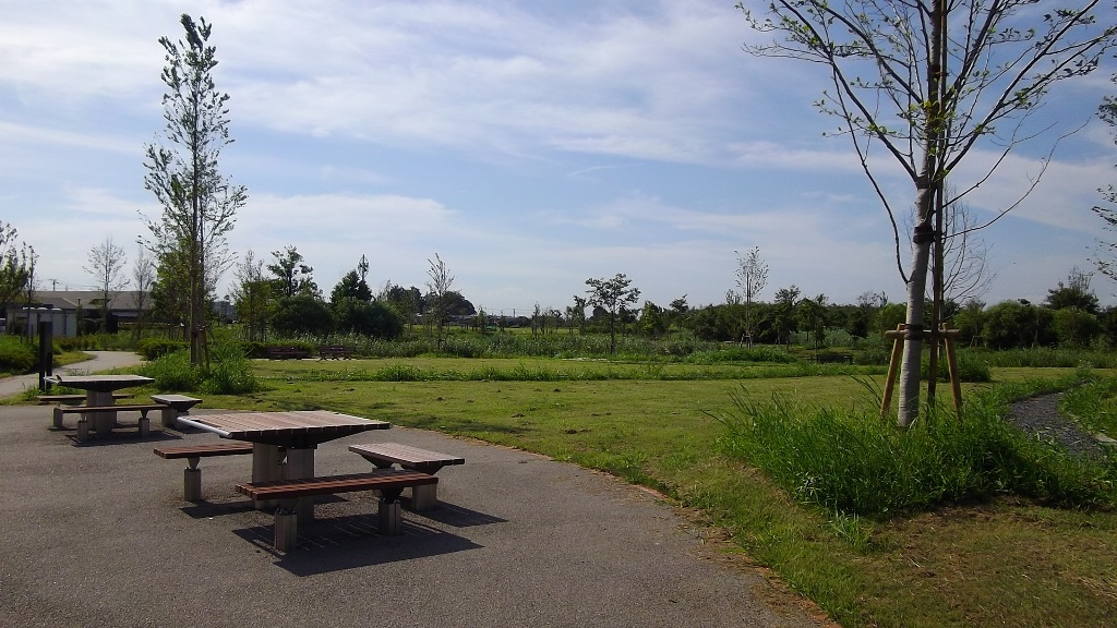 水辺ゾーンの写真1