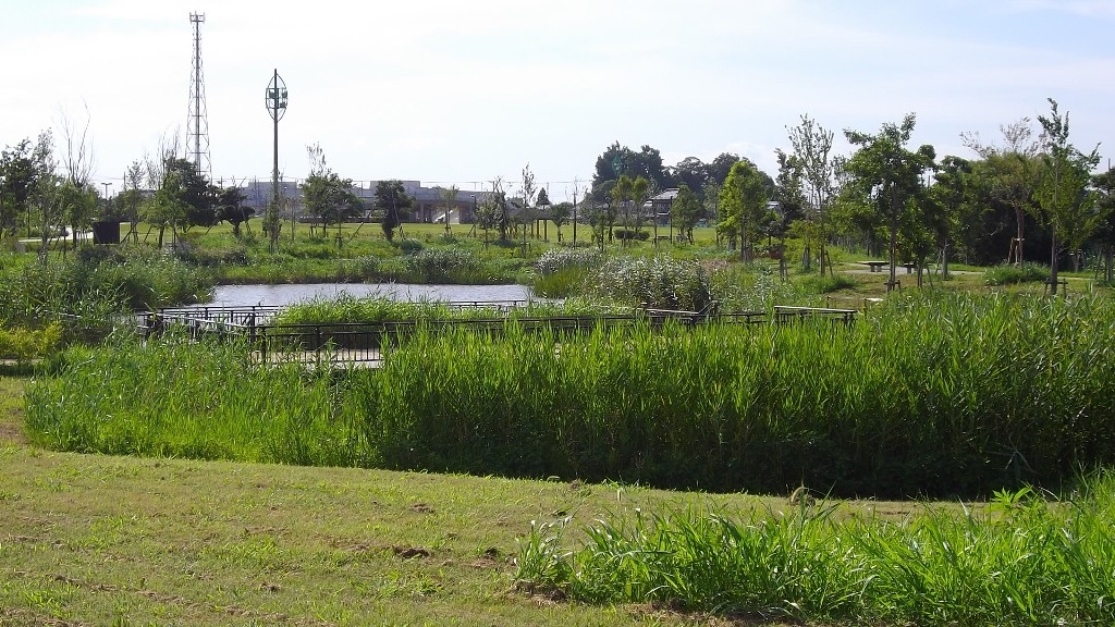 水辺ゾーンの写真2