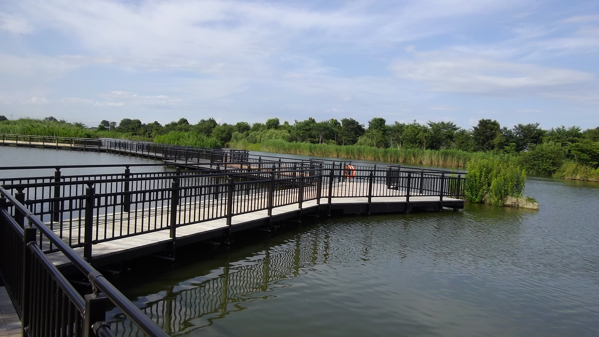 水辺ゾーンの写真3