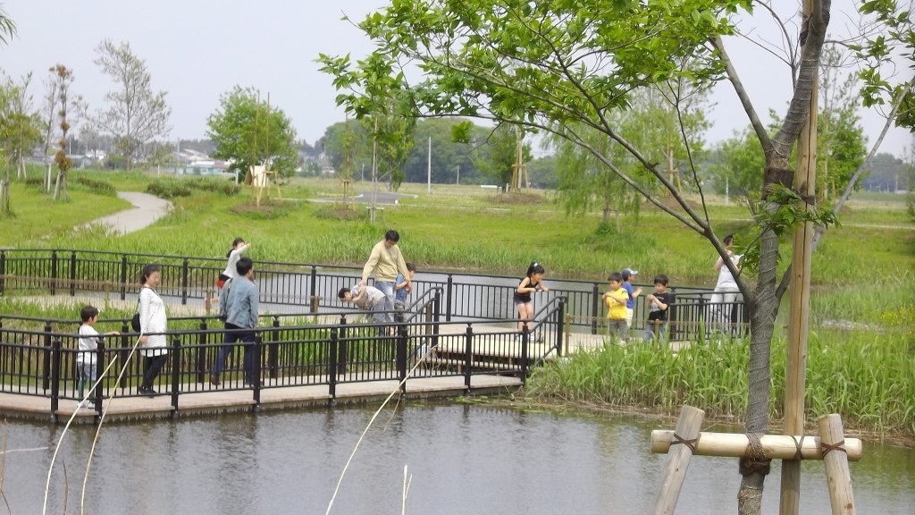 水辺ゾーンの写真4