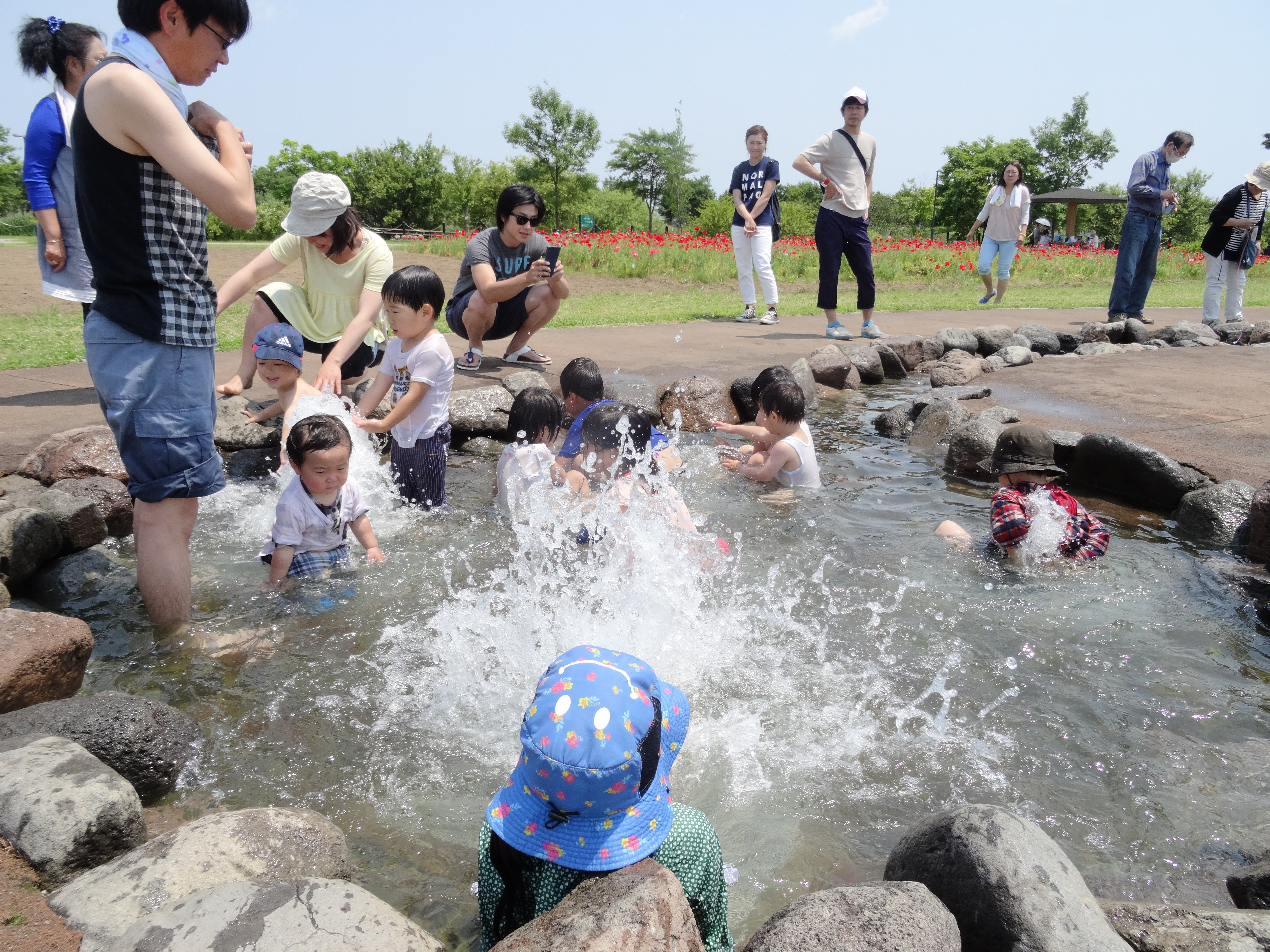じゃぶじゃぶ流れで帽子をかぶった子どもや大人が水しぶきを上げながら遊んでいる風景