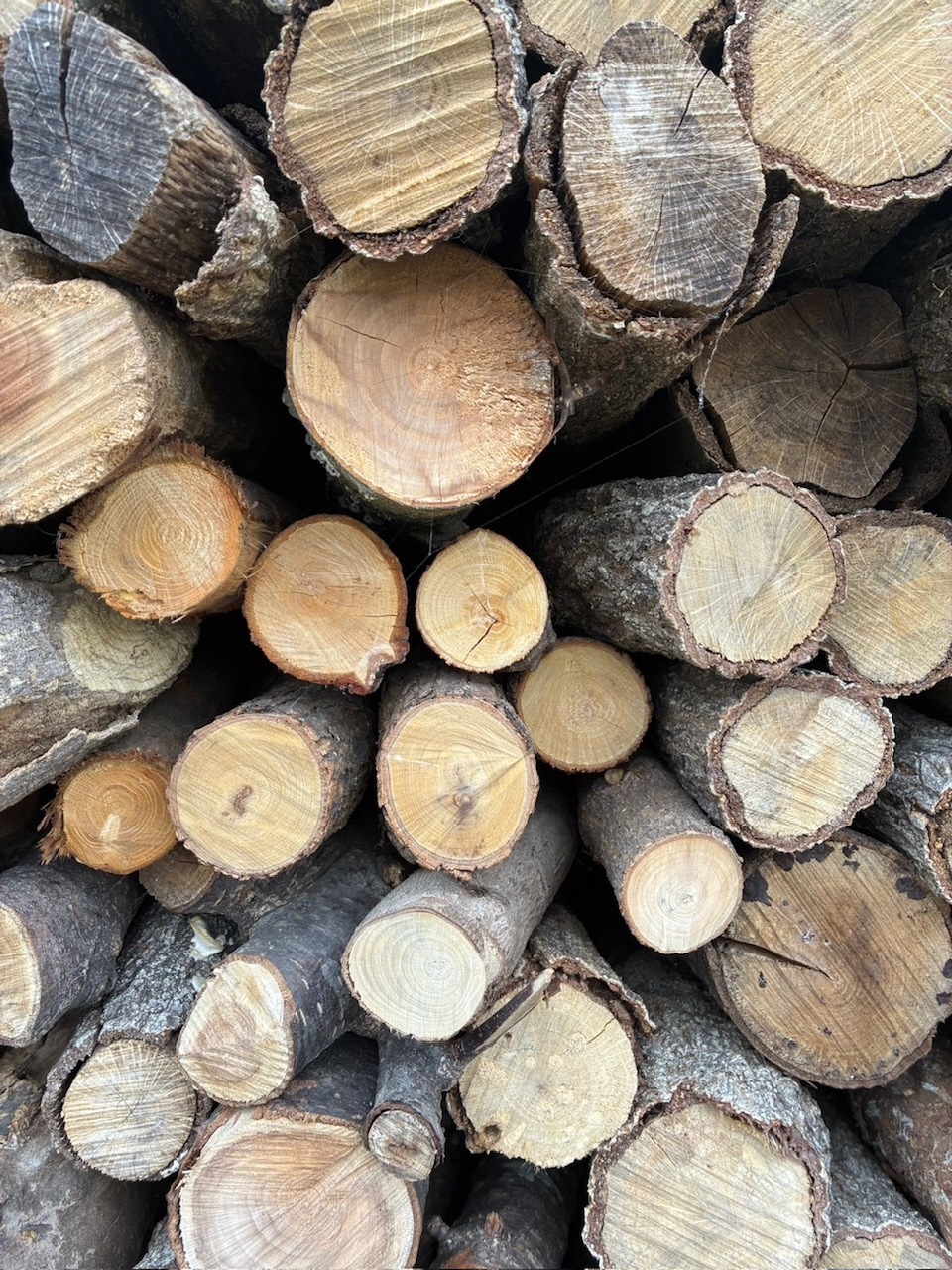 丸物の薪