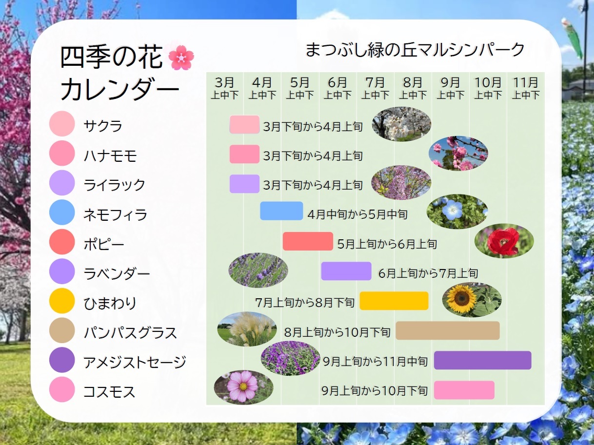 サクラやハナモモなど、公園内に咲く花の時期を表すカレンダーである